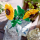 LEGO BOTANICALS 40524 Słoneczniki - 1473435 - zdjęcie 6